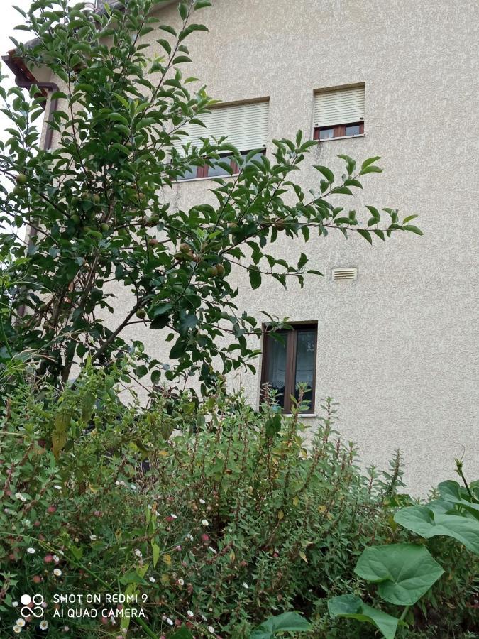 Casa Dos Grilos Penacova Exterior photo